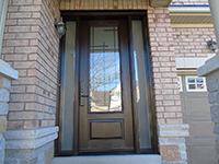 Millenial Wrought Iron Doorlite with Frosted Sidelites